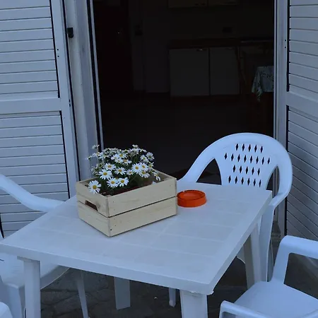 Residenza Sul Mare Margherita - Il Lupo Affitta 4* Rimini